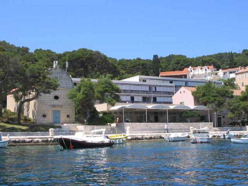 Delfin Hvar