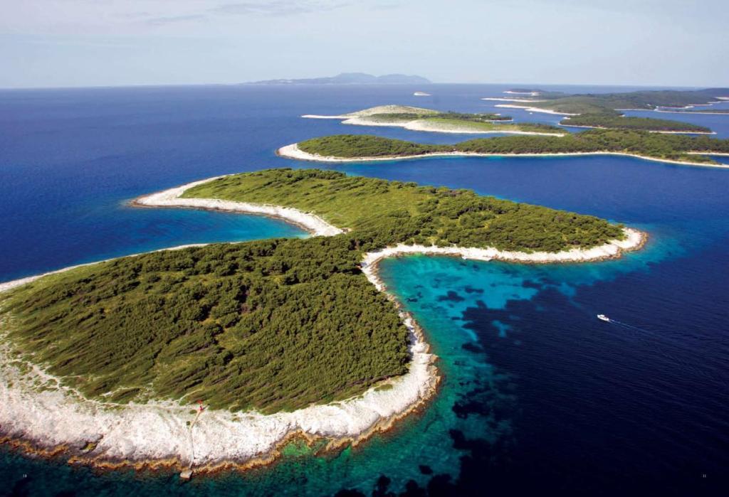 Delfin Hvar
